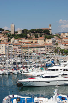 El puerto, Cannes