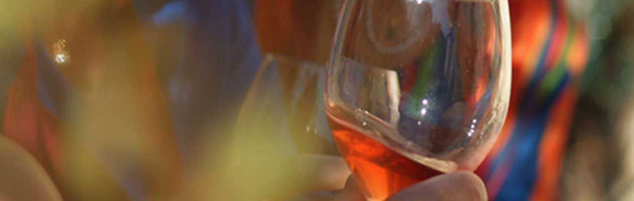 Pisa - Vino, Italia